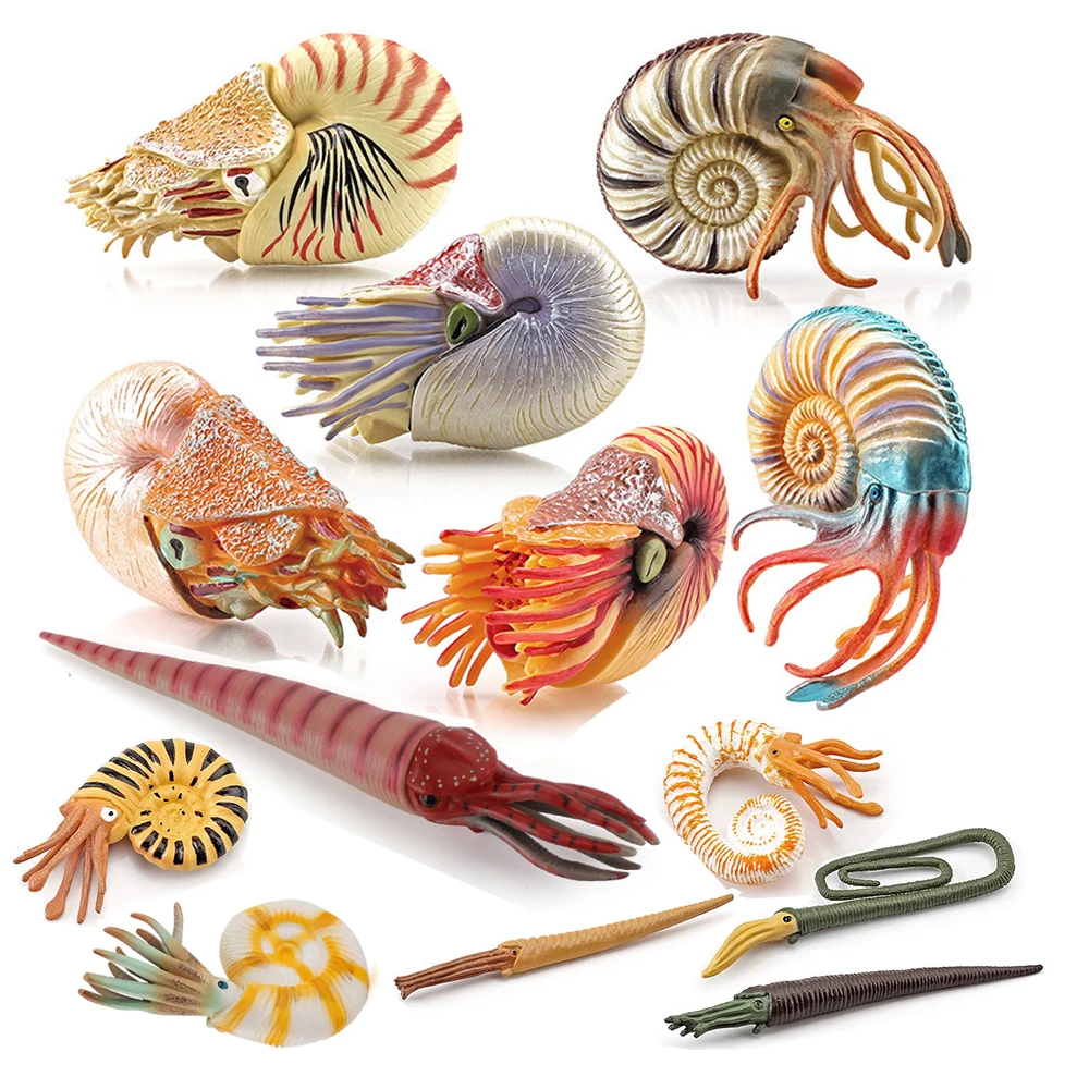 Kids Toys Reviews - Figuras de Animales Marinos, Nautilus, Cameroceras,